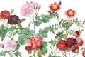 Rose Thorn Floral Wall Mural-Wall Mural-Eazywallz