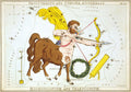 Sagittarius Wall Mural-Wall Mural-Eazywallz