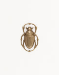 Scarab, 32x20mm, (1pc)