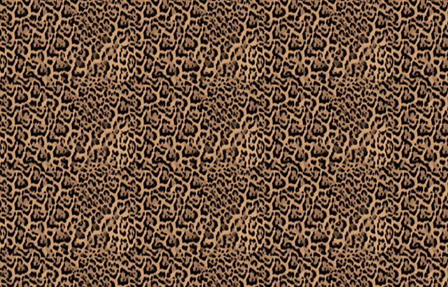 SCSSAMPLES10052024