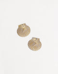 Two gold seashell earrings on white background