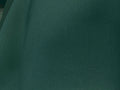 Shimmer Dark Green Spandex