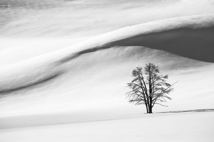 Snow Dunes Wall Mural-Wall Mural-Eazywallz