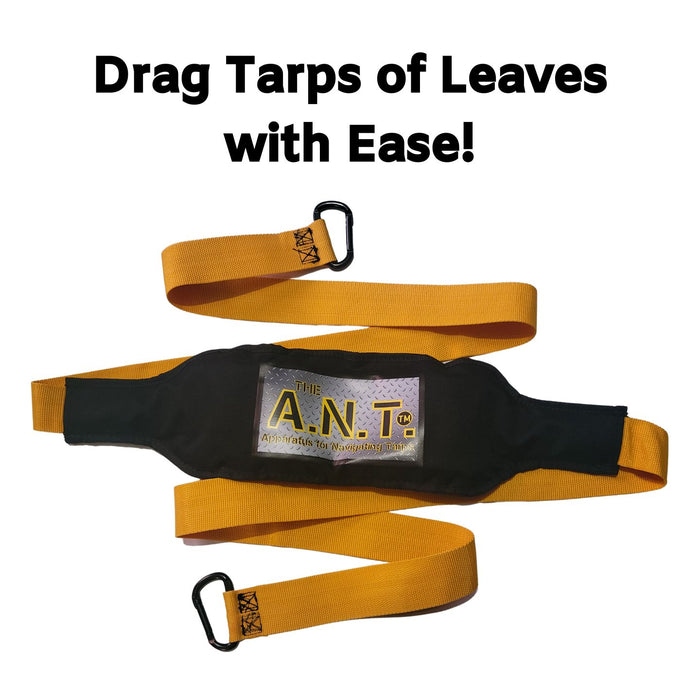 The ANT Tarp Strap [The A.N.T.]