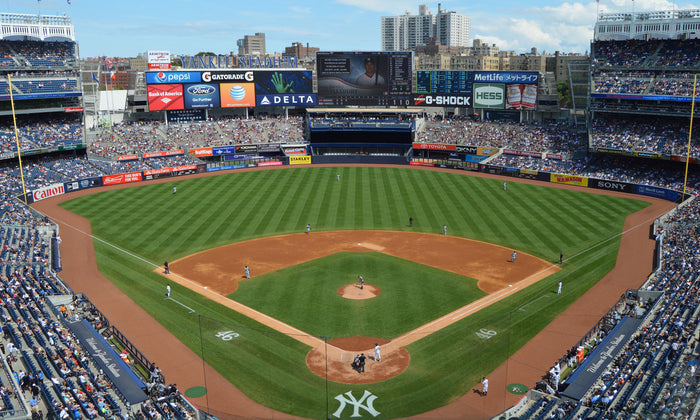 The Bronx Grounds