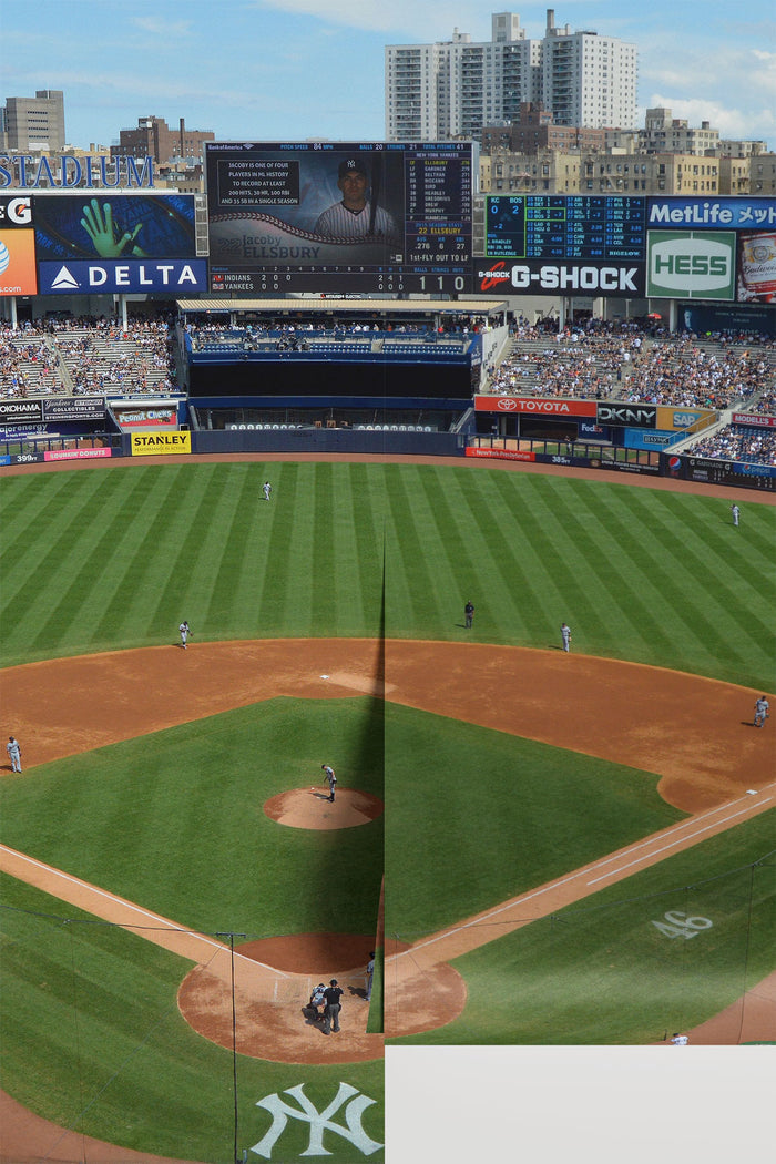 The Bronx Grounds
