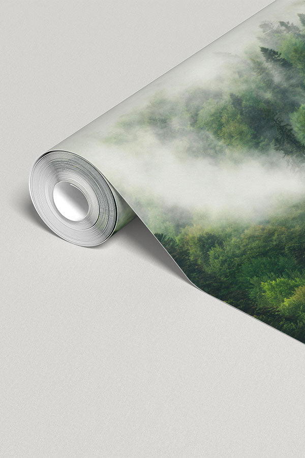 The Misty Wilderness Forest