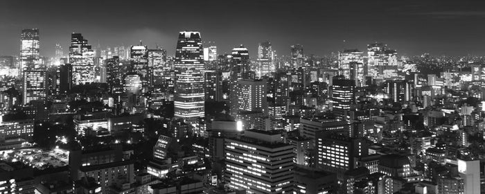 Tokyo Panorama Wall Mural-Wall Mural-Eazywallz