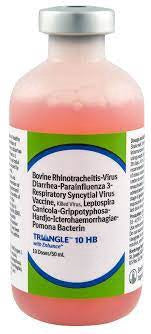 Triangle 10 HB 50 ml (10 doses)