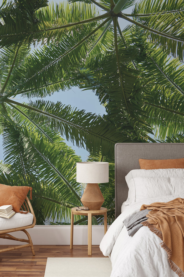 Tropical Canopy