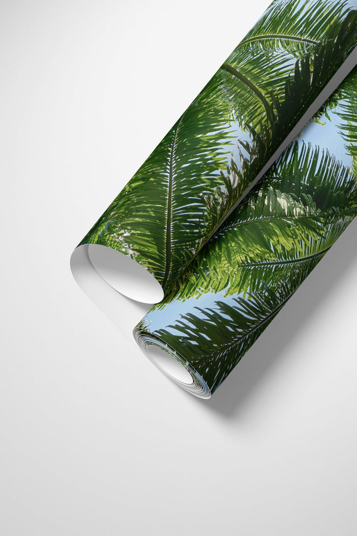 Tropical Canopy