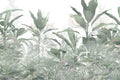 Tropical Tranquility Wall Mural