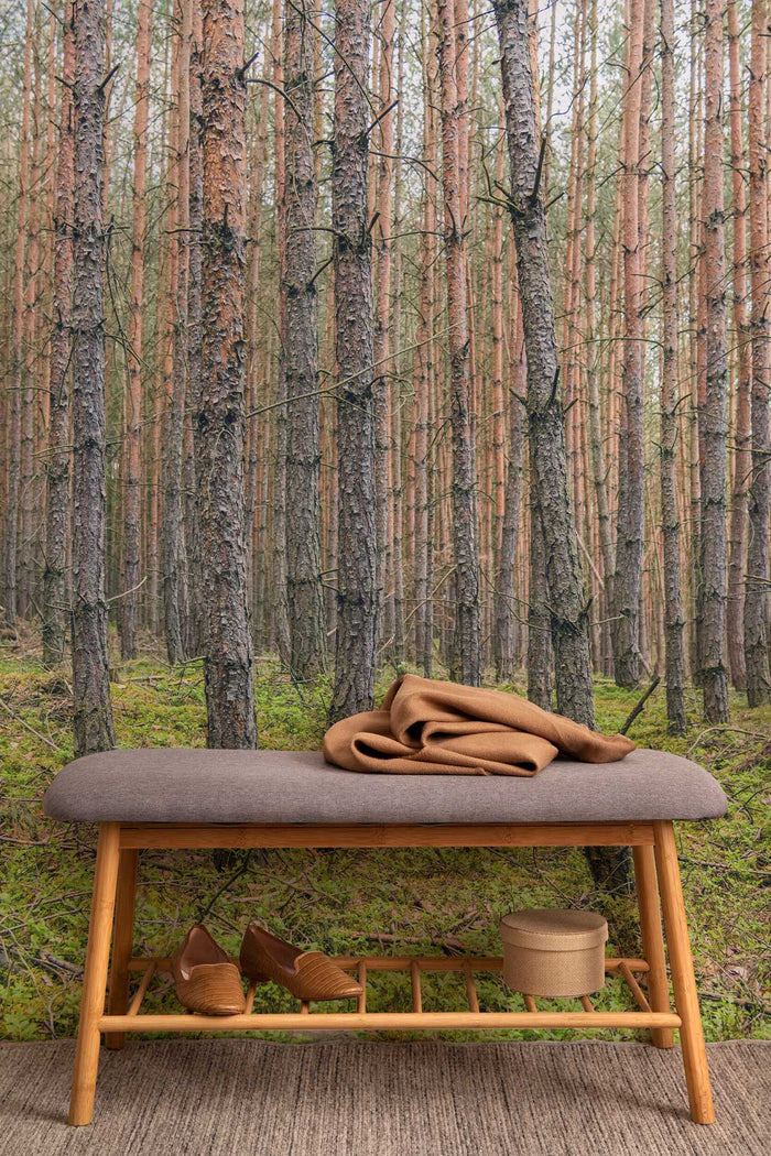 Trunk Haven Forest
