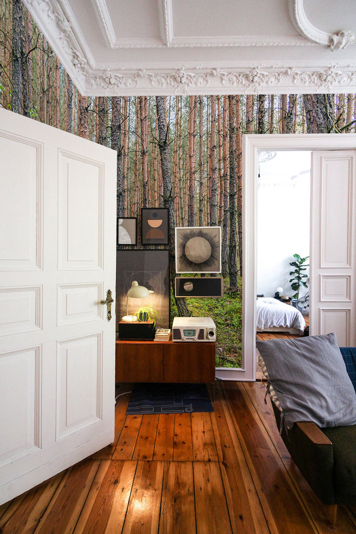 Trunk Haven Forest
