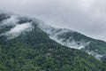 Vailly Misty Forest Mountain Wall Mural-Wall Mural-Eazywallz