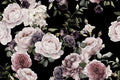 Water Color Roses Wall Mural-Wall Mural-Eazywallz
