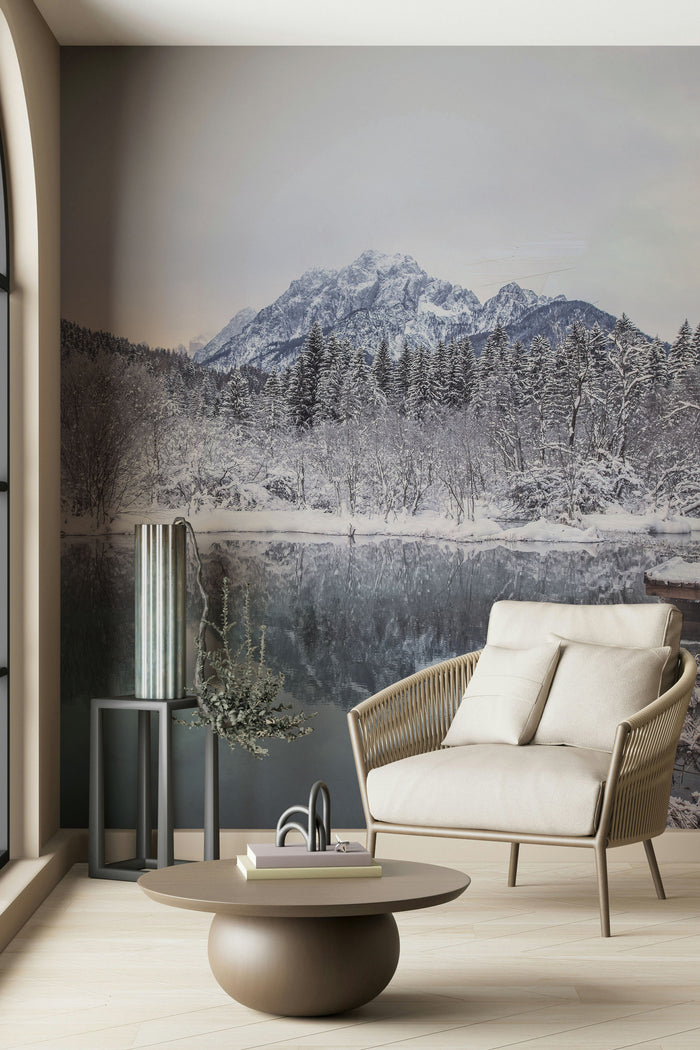 Winter Landscape in Slovenia