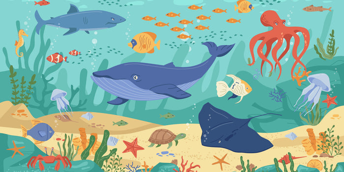 Wonder Ocean