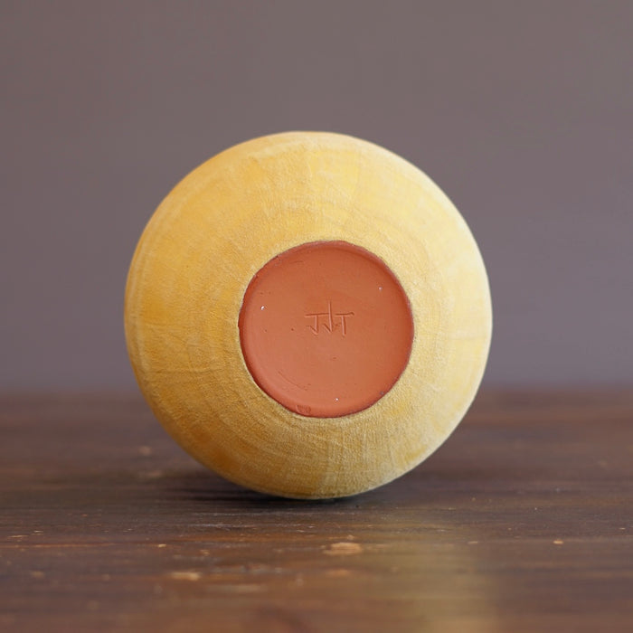 Yellow / Yellow Dino Vase #JT437F