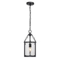 Z-Lite Barrington Matte Black 1 Light Pendant 346P8-MB - Pendants