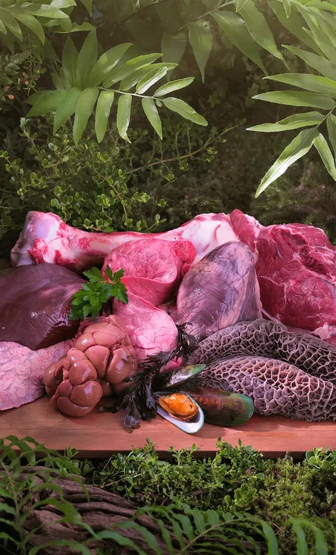 Ziwi Peak Beef for Dogs displayed raw on a wooden plank with marrow bone, heart, liver, tripe, kidneys, sweetbreads, and mussel, surrounded by foliage.