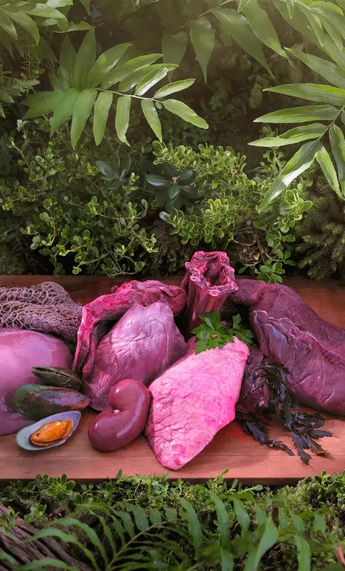 Ziwi Peak Venison for Cats displayed with raw offal and seafood, emphasizing its air-dried, high-meat content and jerky-like texture for convenient feline nutrition.